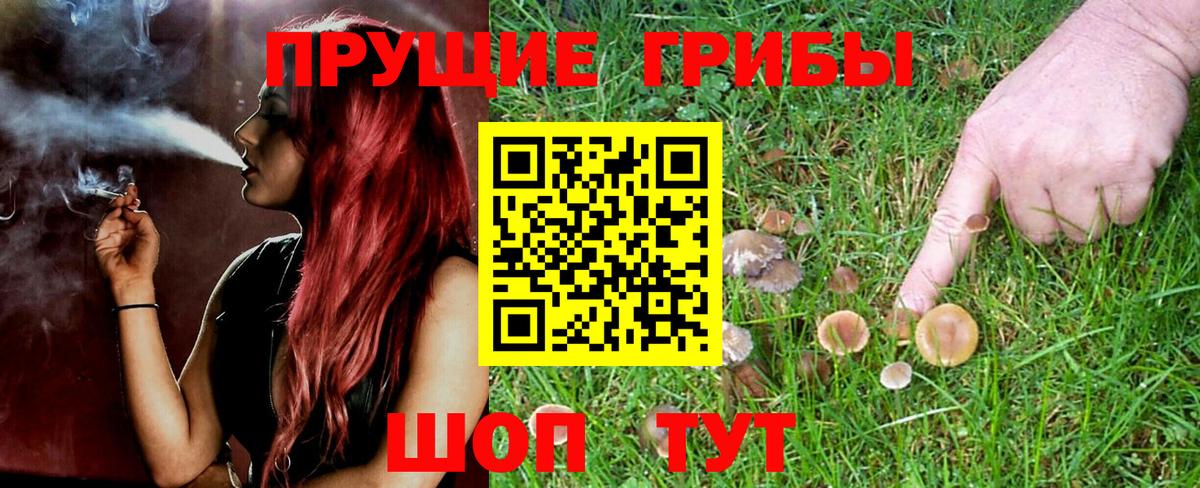 Артём  Псилоцибиновые грибы ЛСД  Вход с VPN 