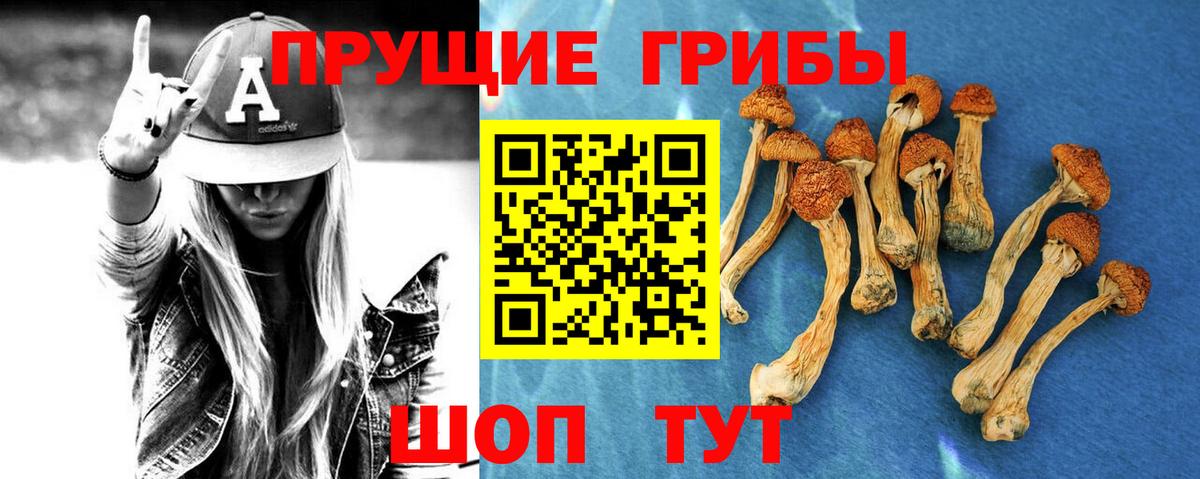 Галлюциногенные грибы прущие грибы Артём