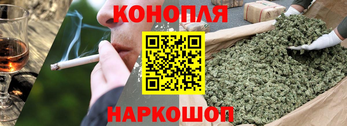 Бошки Шишки ГИДРОПОН  Каннабис OG Kush  Артём  Вход с VPN  Канабис семена 